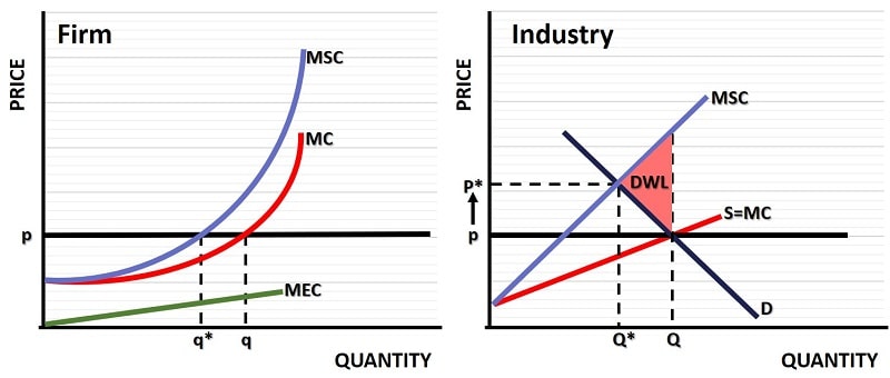 Marginal Social Cost Private Cost