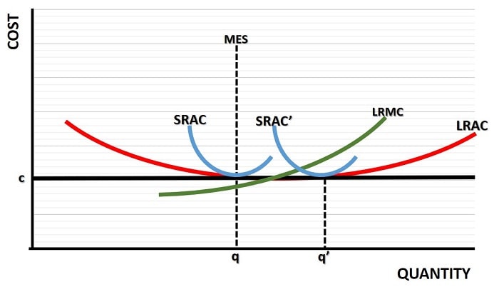 Minimum Efficient Scale Explained with Examples Graph 